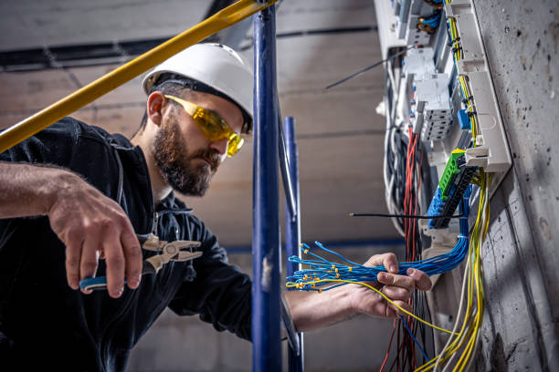 Best Electric Panel Repair  in Manor, TX